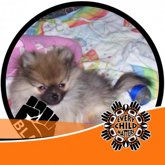 Meet your Posher, Kimmy - Picture 1 of 1